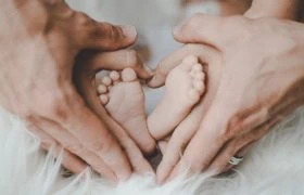 Male & Female Infertility