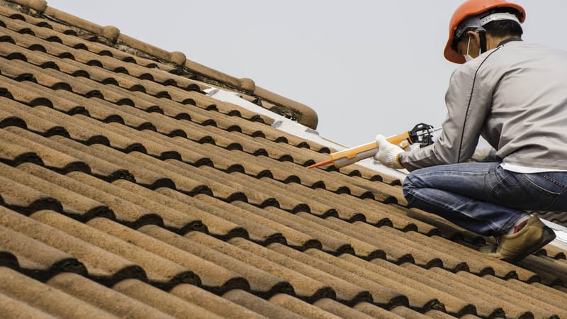 Navigating Roofing Choices for Lasting Protection and Curb Appeal
