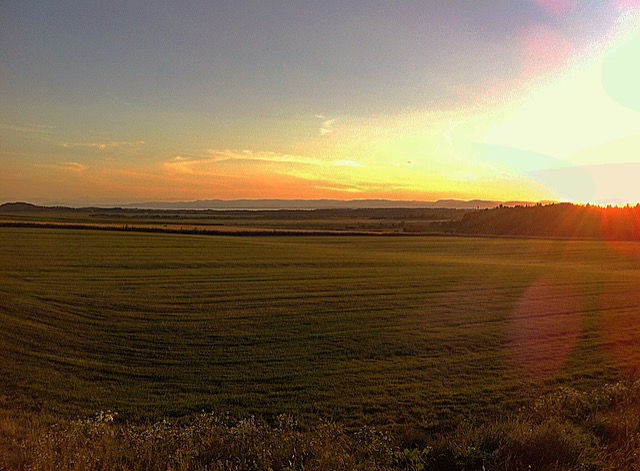 Campagne
