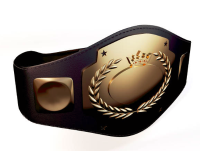 ricflairblog image