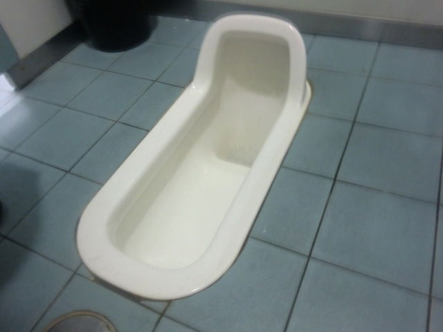 Traditional toilet in Japan