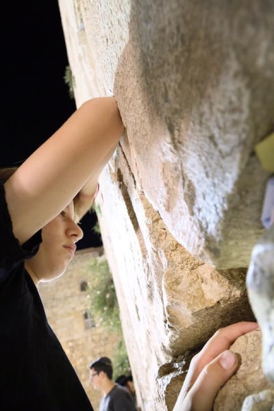 פרשת השבוע - "האזינו" image