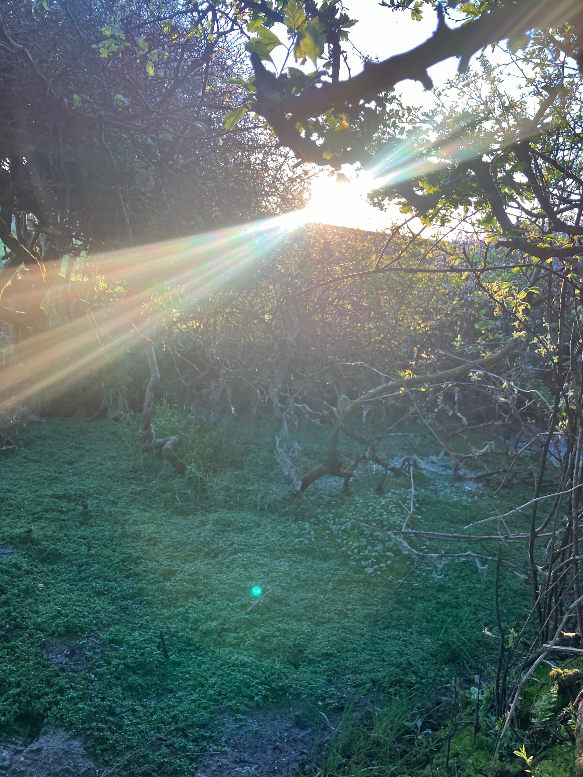 Fairy Fort, Liscannor, Co.Clare