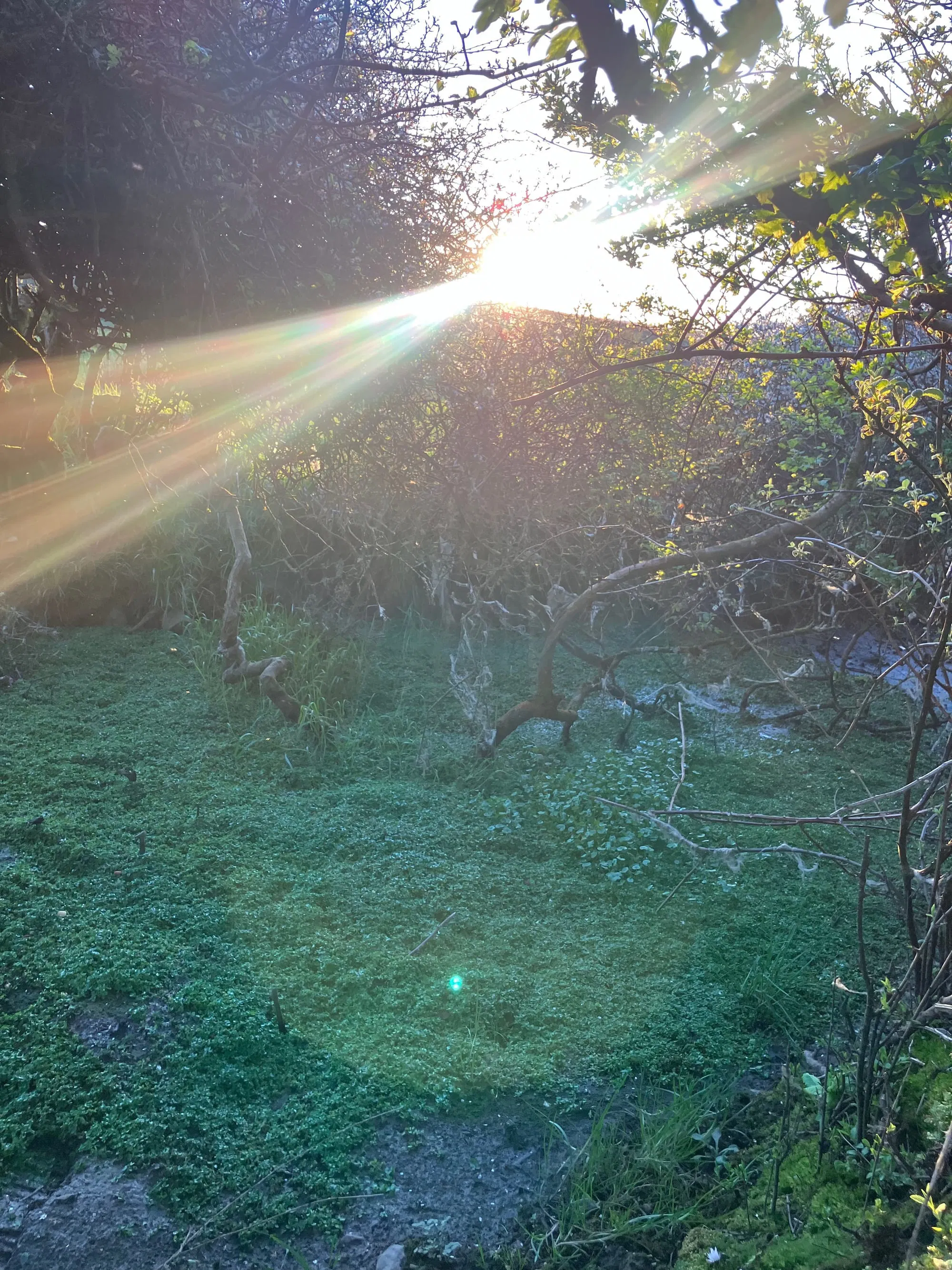 Fairy Fort, Liscannor, Co. Clare