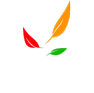 DV-LOG