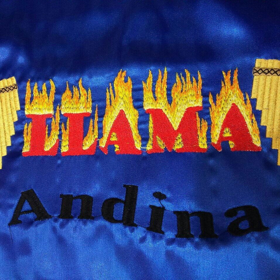 Llama Andina