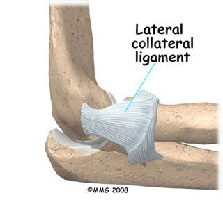 Lateral Collateral Ligament