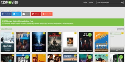 Relationship Between the Industry as well as Motion Picture Evaluations
