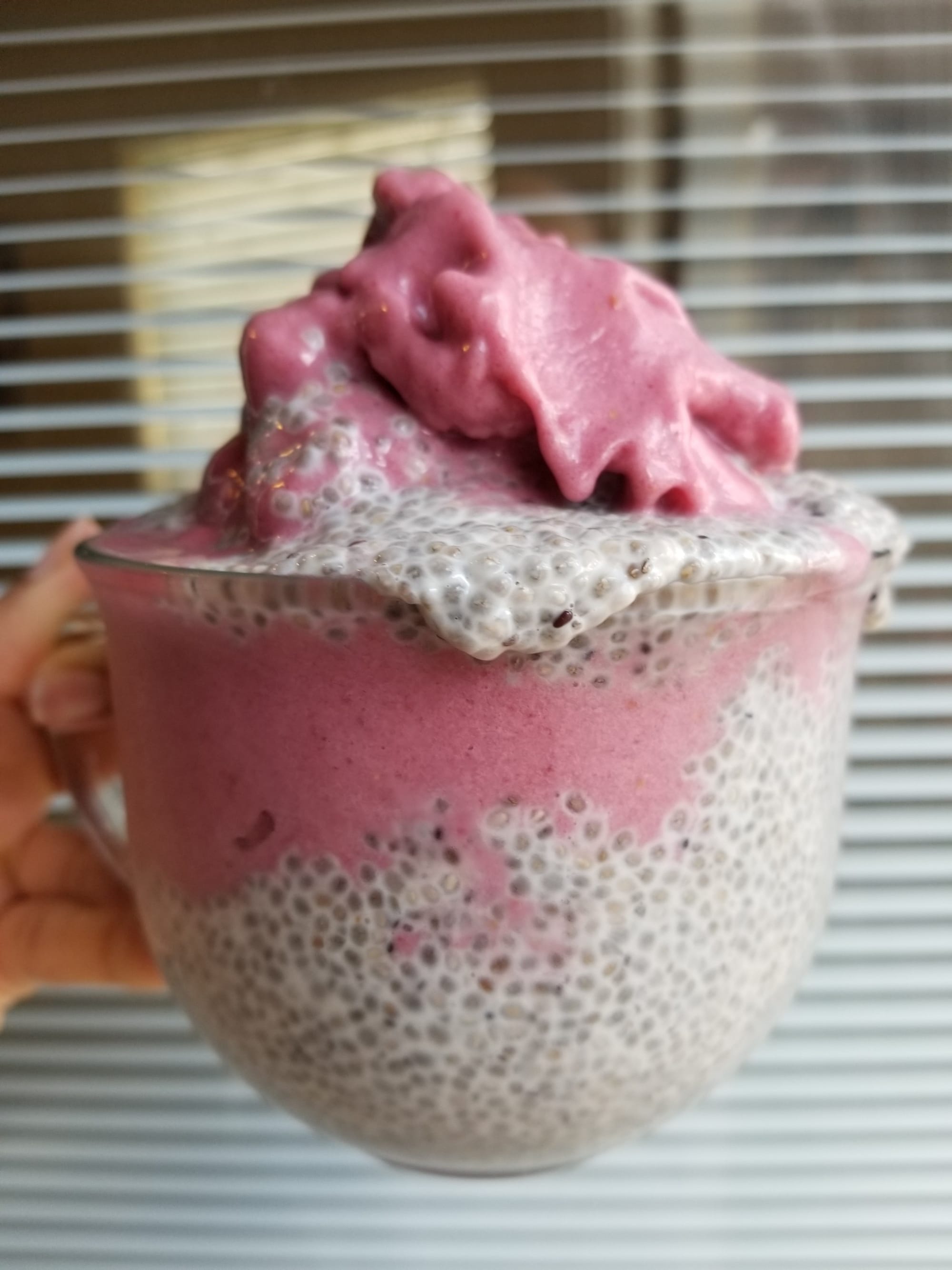 Creamy Strawberry Chia Pudding Nicecream