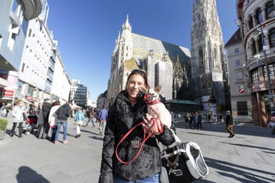 Best Dog Muzzle is Something that Fits Your Pet Properly!