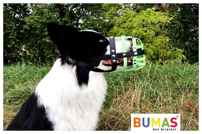 How Best Dog Muzzle Can Be Purchased By Pet Owners?