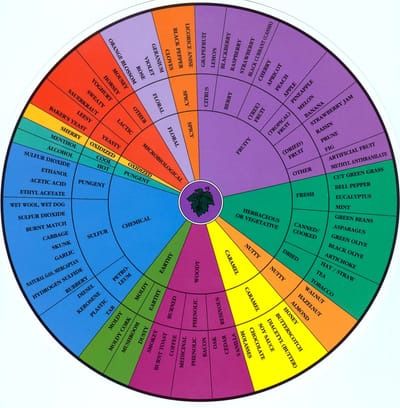 Become a  Wine Expert with just 10 Minutes of Study of Wine Aromas!