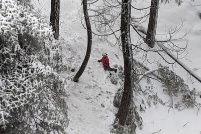 Staying at the Cabin