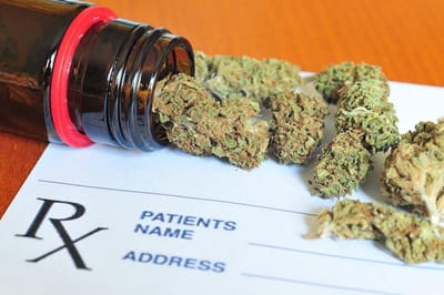 A Few Things that You Must Know Regarding the Medical CBD