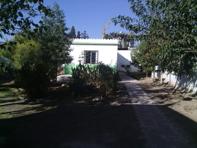 التعريف بالديوان الوطني للتطهير لمدينةسيدي بلعباس  image