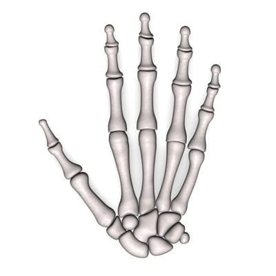 Wrist + Hands