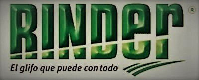 Nosotros, una empresa y una planta  image