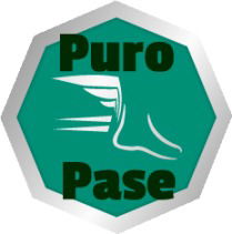 PP