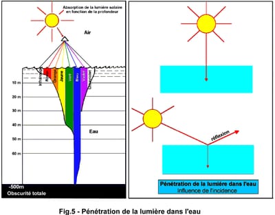 Presentation image