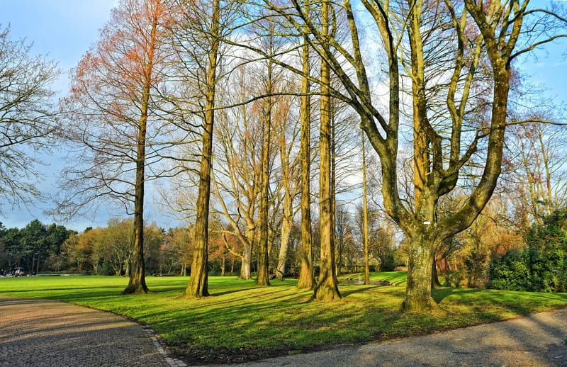 Landscape Services