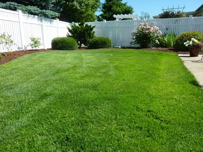Fertilizer application