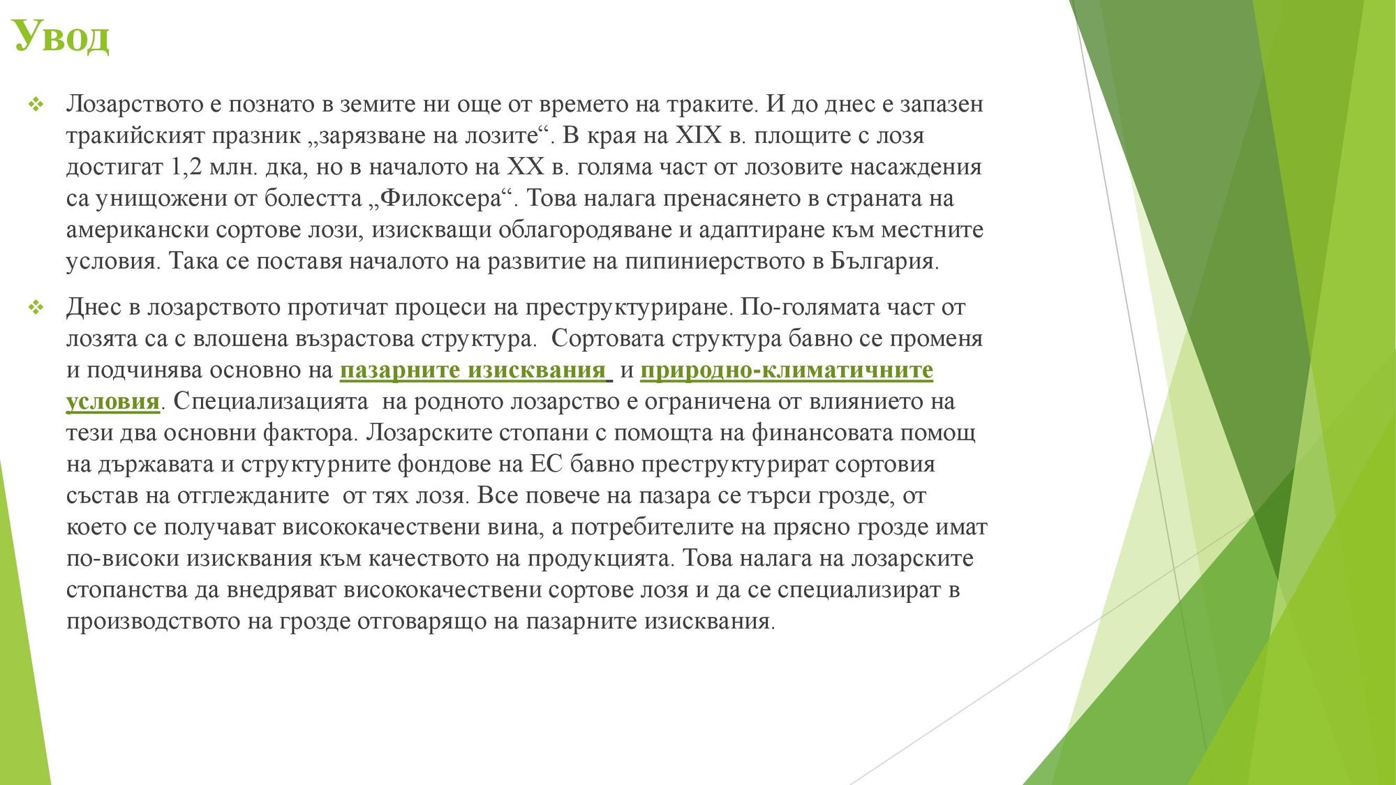 Презентация на тема: Регионален анализ на специализацията на лозарството