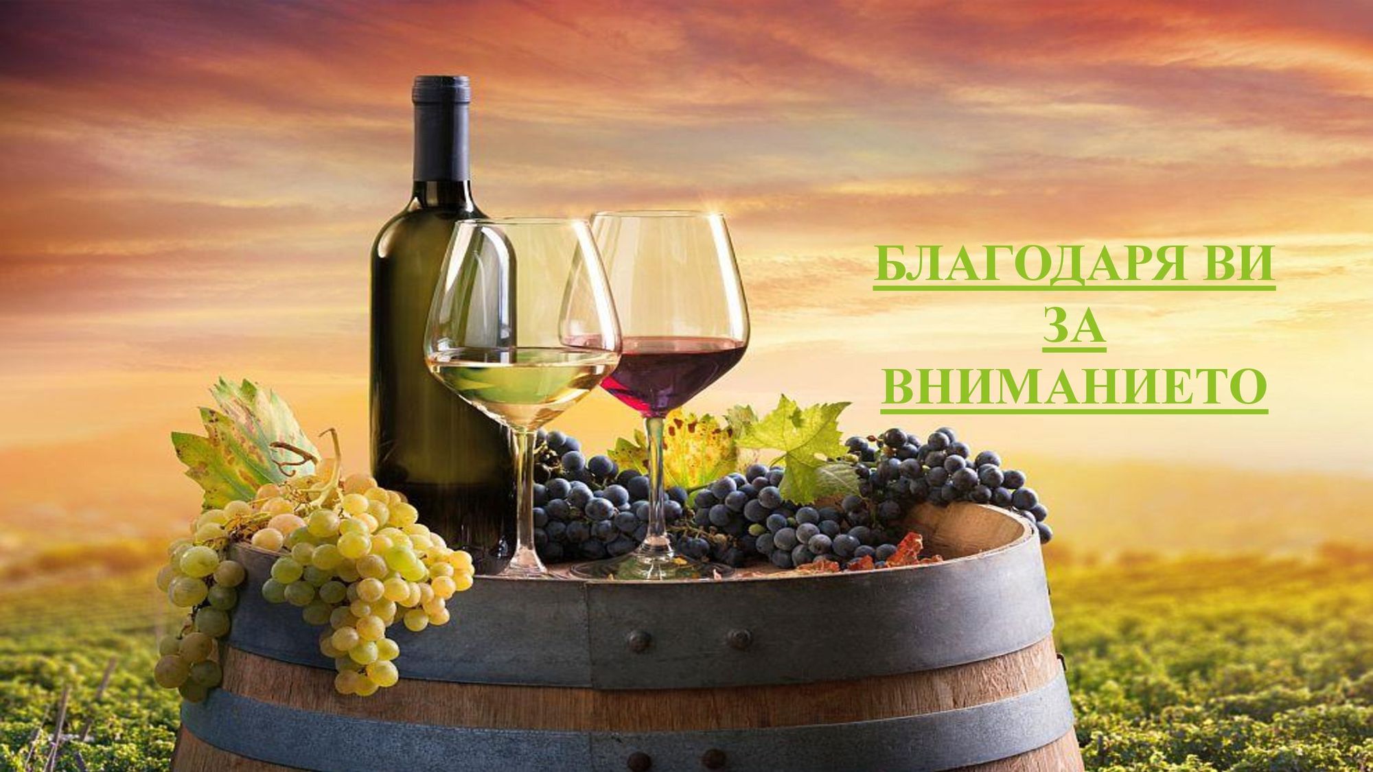 Презентация на тема: Регионален анализ на специализацията на лозарството