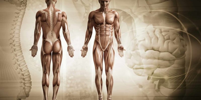 ginnastica posturale