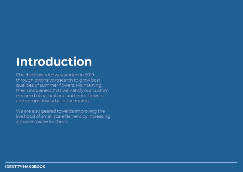 Brand Guideline