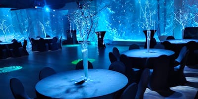 Unveiling an Unforgettable Night: A Walnut House Blog Review of the Spectacular Rutherford County Virtual School Prom