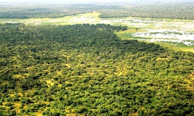 Land Reforms and the Future of the Land Use Act in Nigeria