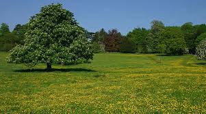 What You Should Know About Land Status