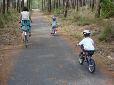 Prix/Preisliste/Prices image