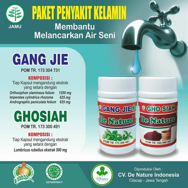 Tata Cara Mengobati Sipilis Kencing Nanah Pada Wanita